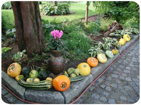 Gartenansicht Gartenansicht