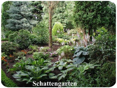 Schattengarten Schattengarten