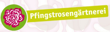 Pfingstrosen